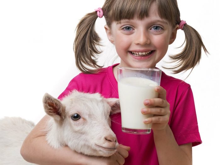 9 Surprising Goat Milk Health Benefits