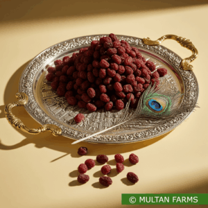 Kishmish (Dried Grapes)