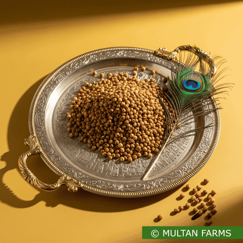 Roasted Black Gram (Bhuna Chana)