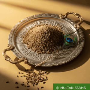Zeera (Cumin Seeds)